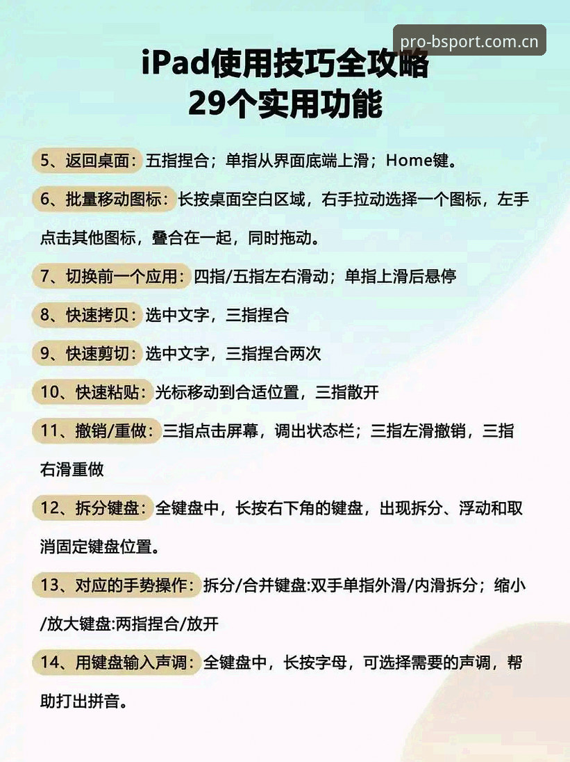 BSPORT使用教程对比 资深用户分享:BSPORT使用教程对比与实战心得,7X3K体育登录指南创新体验